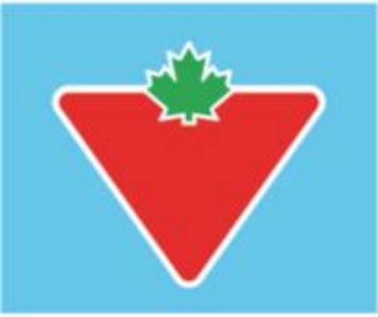 Picture of Classic CT Logo Patch - White