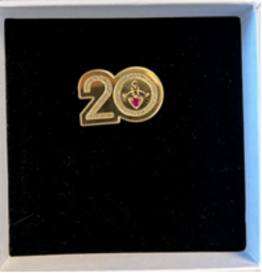 Picture of 20th Gold Pin with Ruby Gemstone